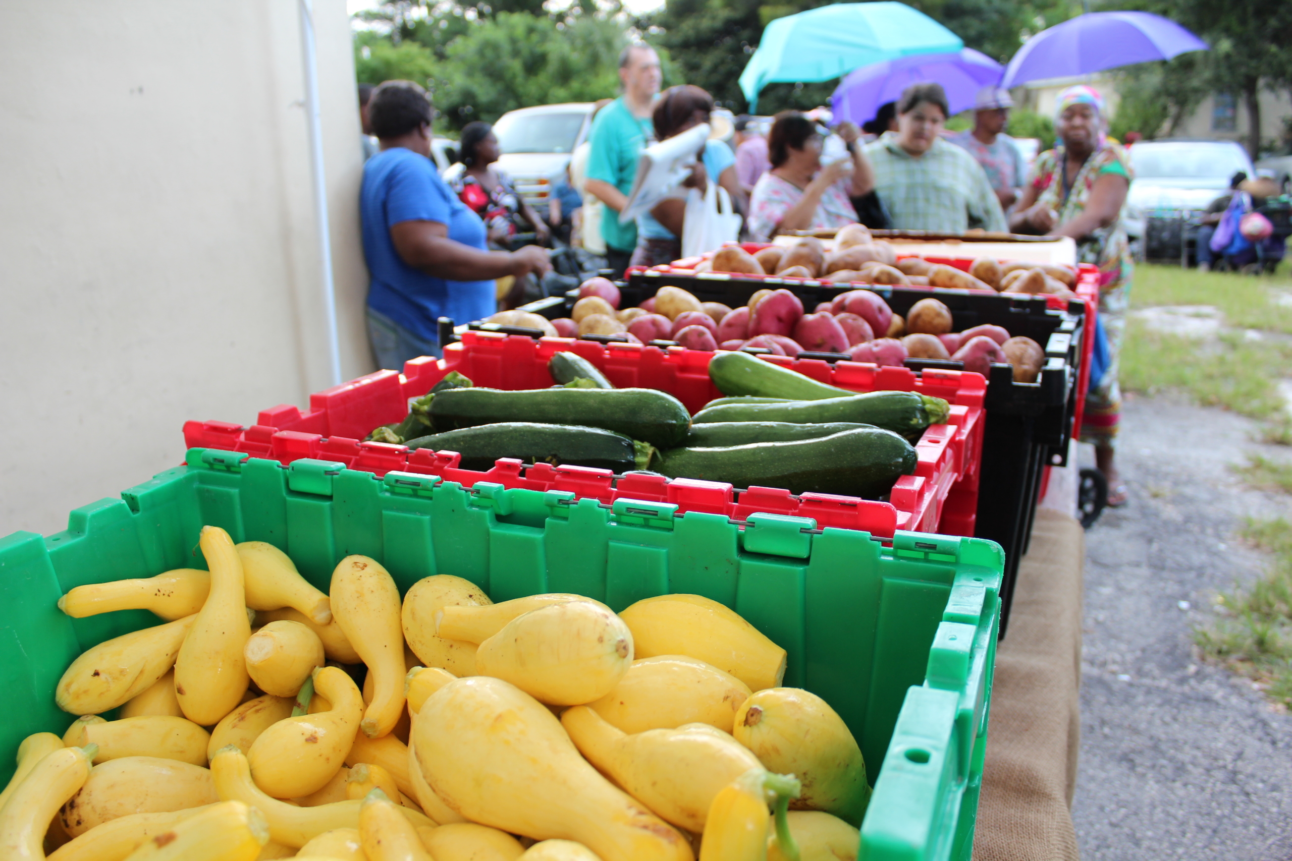 Need for food stamps surges with pandemic