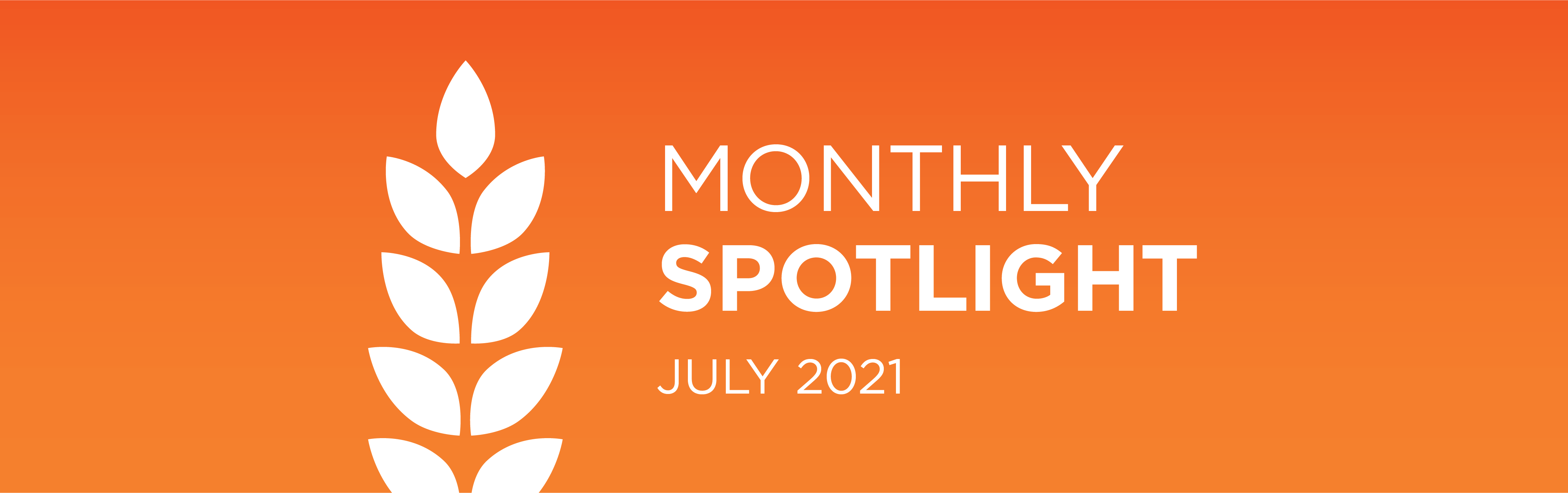 monthly spotlight